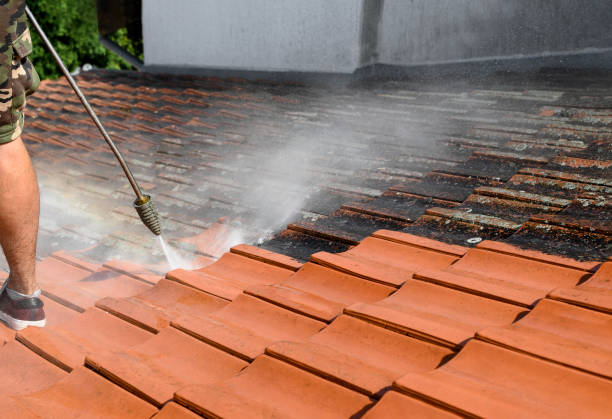 Best Sidewalk Pressure Washing  in Hooks, TX