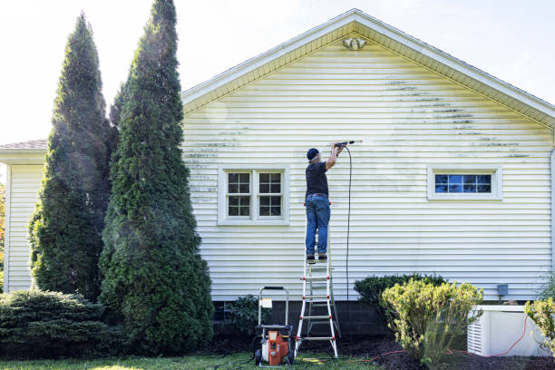 Best Pressure Washing Contractors  in Hooks, TX
