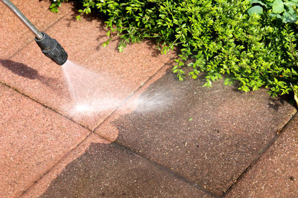 Best Roof Pressure Washing  in Hooks, TX